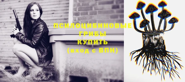 скорость Рославль