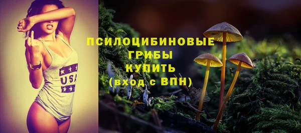 герыч Павловск