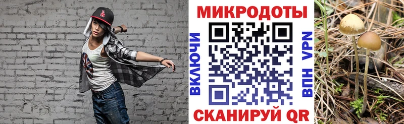 закладка  kraken зеркало  Галлюциногенные грибы Cubensis  Курган 