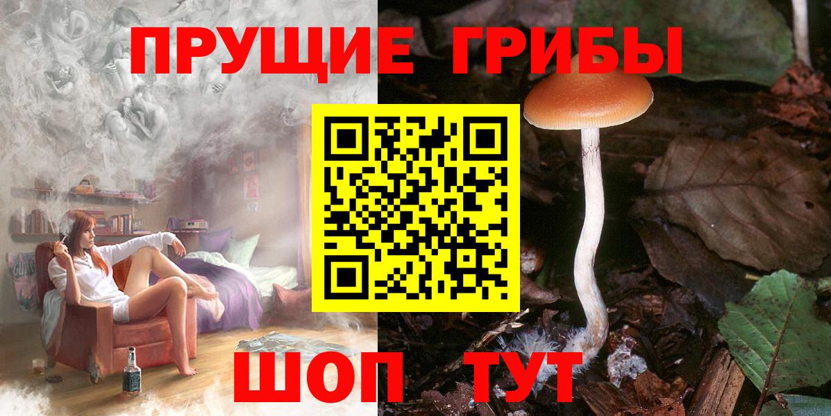 Псилоцибиновые грибы Cubensis  наркошоп  Курган  Вход с VPN 