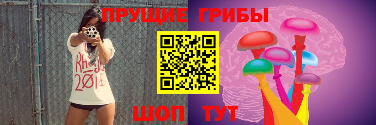 Псилоцибиновые грибы мицелий Курган